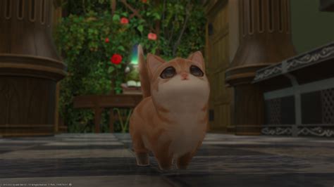 ffxiv fishing cat became hungry.